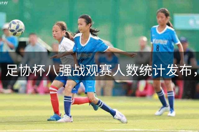 足协杯八强战观赛人数统计发布，大连主场最火爆